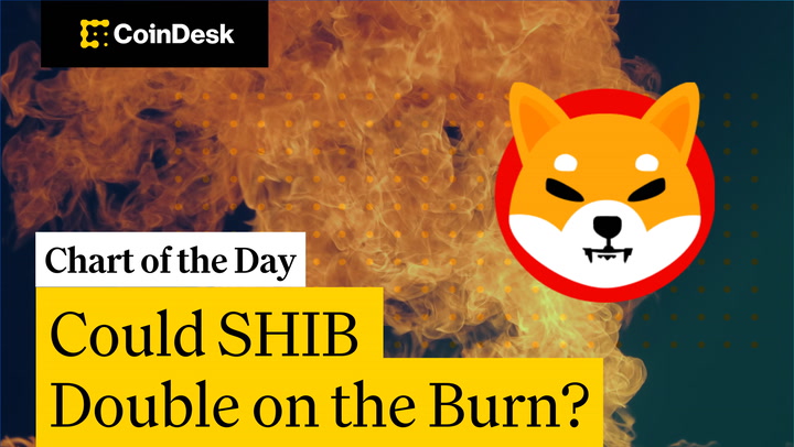 'Video thumbnail for What SHIB's Exploding Burn Rate Means for Its Price'