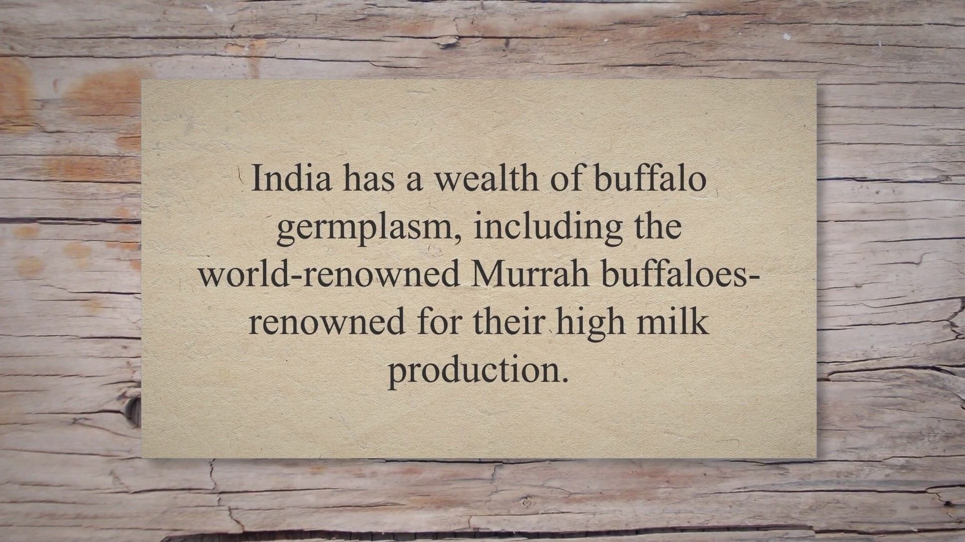 Video thumbnail for 17 Buffalo breeds in India