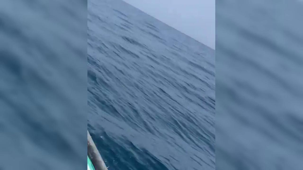 Video thumbnail for Iran: American Apache Flies Over Iranian Boats Off Qeshm Island.