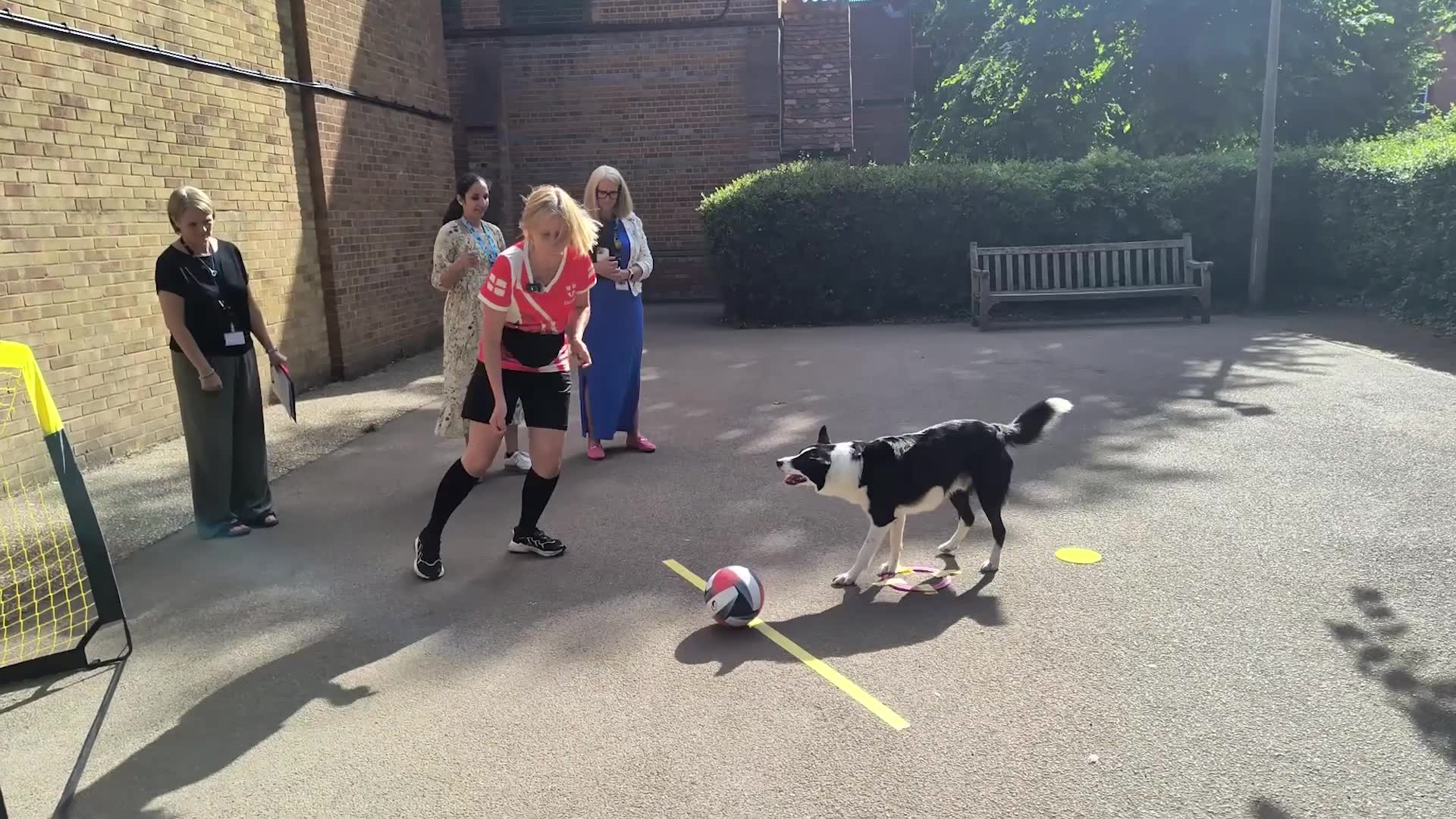 Video thumbnail for Most football goals scored by a dog in one minute