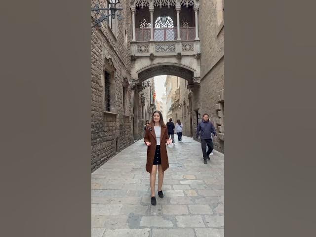 Video thumbnail for welcome to this little corner of the world!