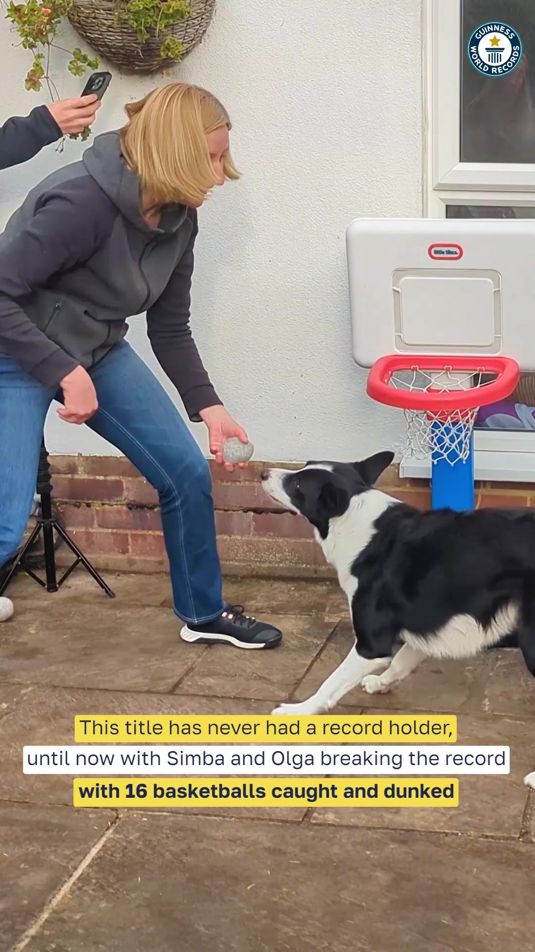 Video thumbnail for Simba the dog sets basketball dunk record with 16