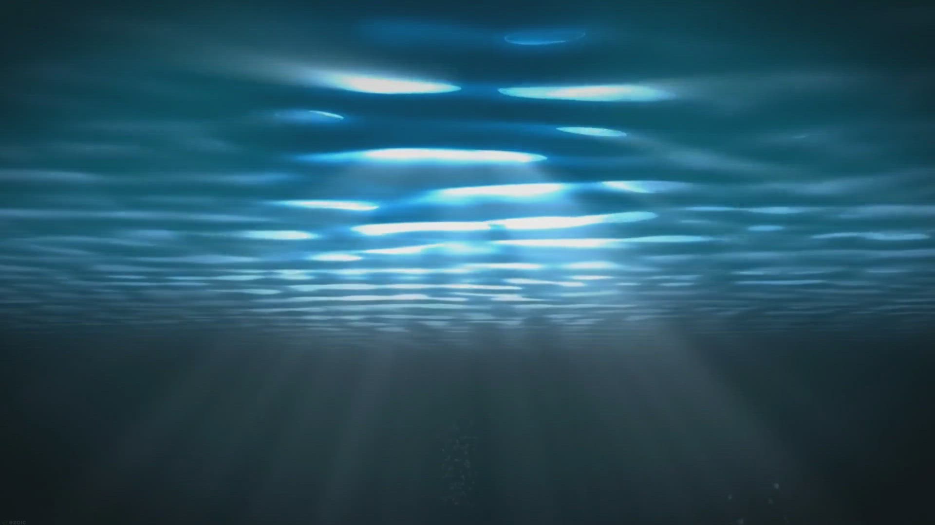 Video thumbnail for Venomous Enigmas: Discover 15 Poisonous Octopus Species