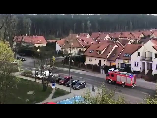 Video thumbnail for Pożar lasu w Zielonej Górze. Na miejscu jest straż pożarna