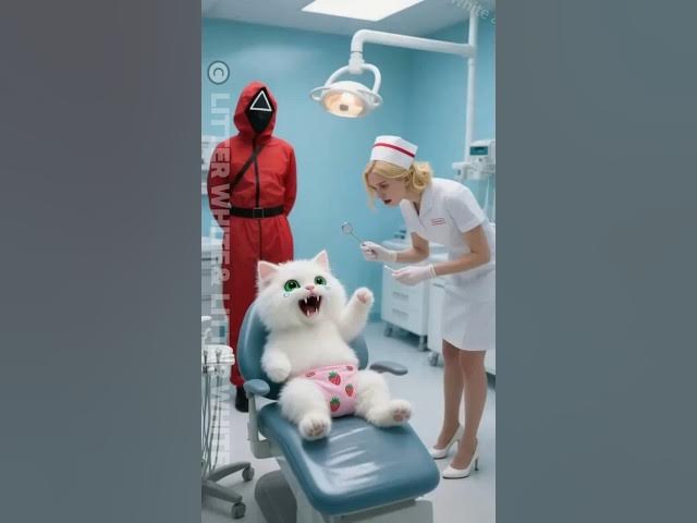 Video thumbnail for Why Do Dog Eat Walnuts? #funny #animals  Je gelooft nooit wat deze hond doet in de kliniek!#funny