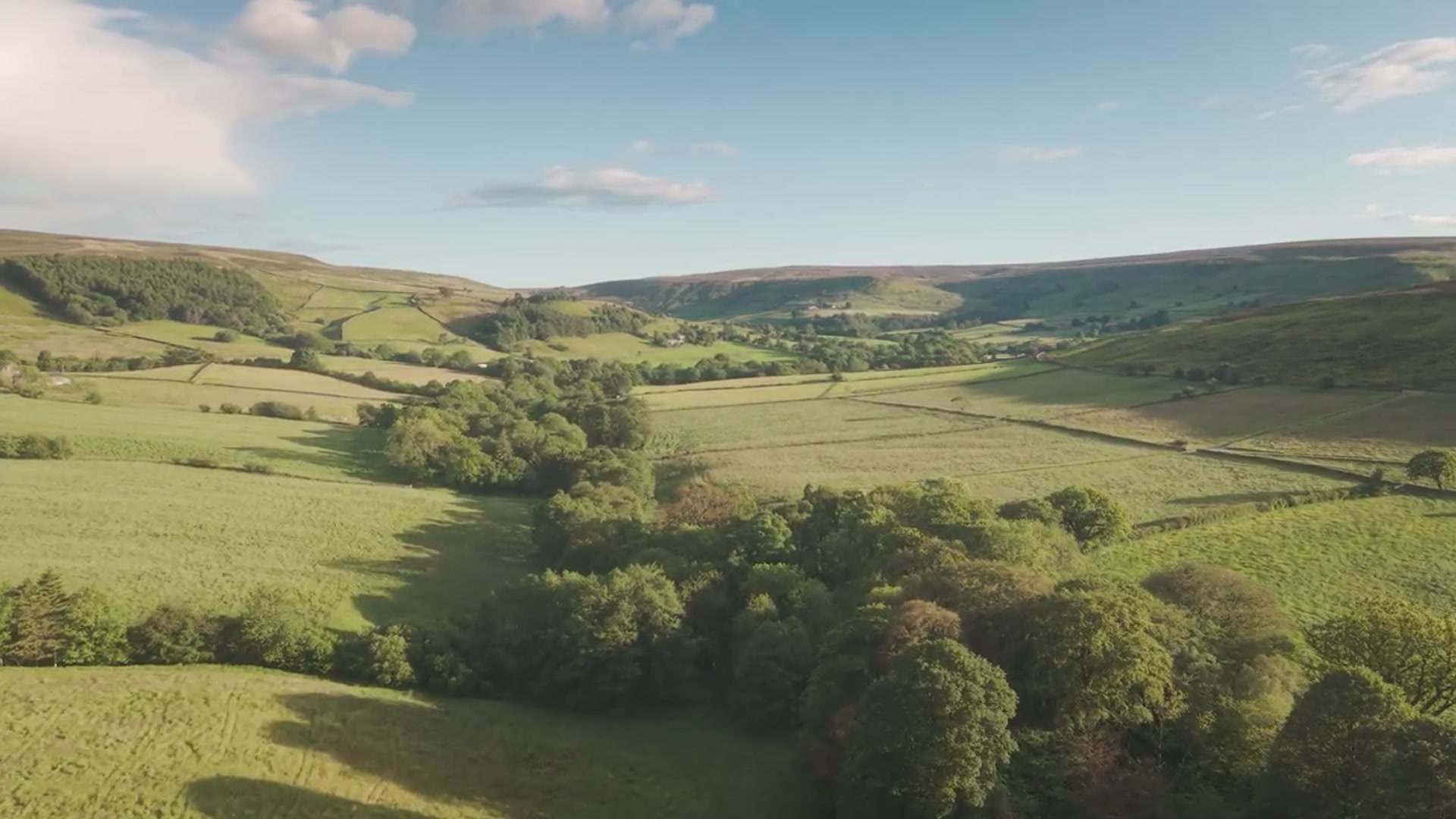 Video thumbnail for Loads of grass to cut