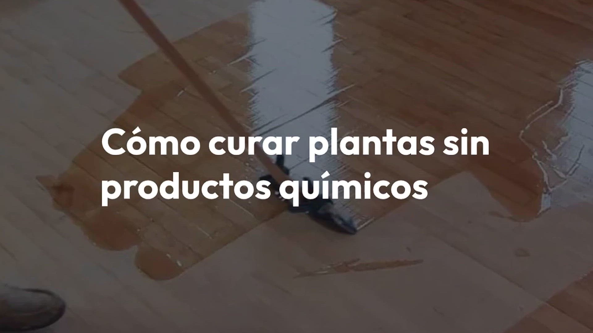 Video thumbnail for Con este ingrediente tendrás raíces muy fuertes y flores constantemente exuberantes.