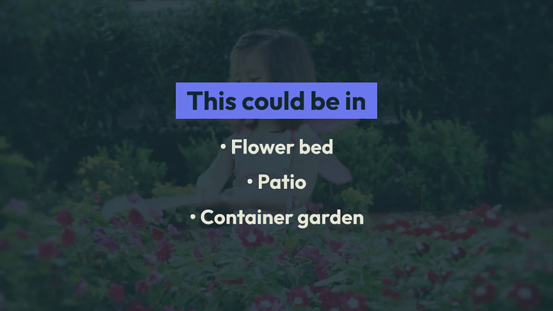 'Video thumbnail for Fairy Garden Ideas'