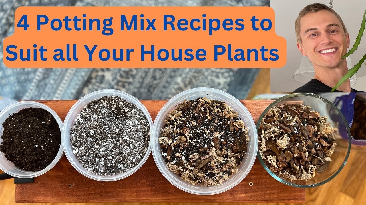 Video thumbnail for 4 House Plant Potting Mix Recipes - Common Plants, Succulents, Tropical Aroids & Orchids
