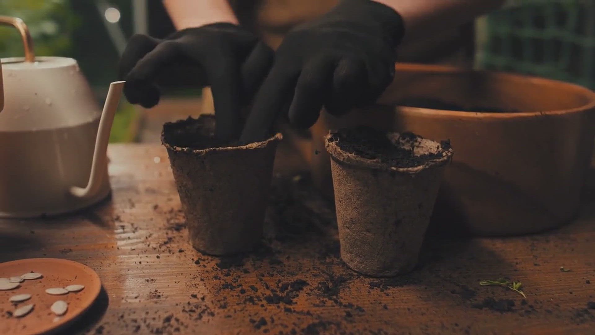 'Video thumbnail for How to Make Soil Acidic'