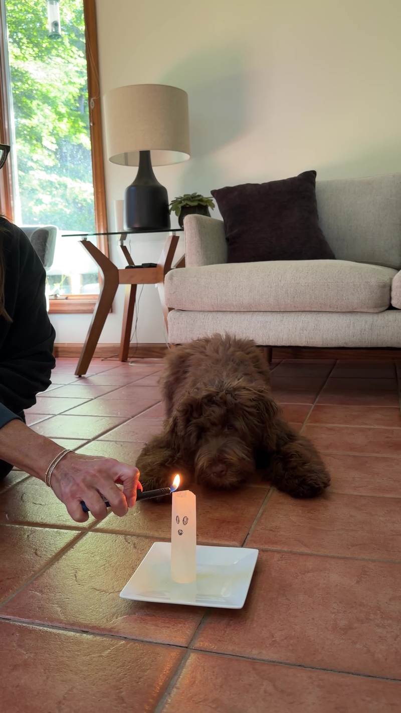 Video thumbnail for Curious Puppy Watches Floating Tea Bag Ghost Experiment