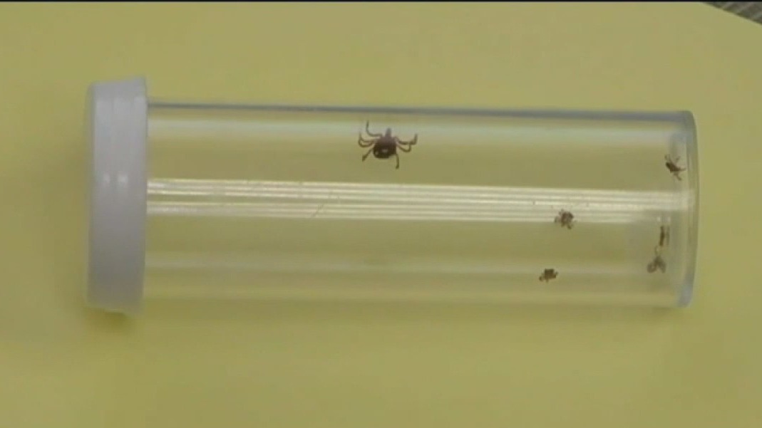 Video thumbnail for NJ man dies after tick bite causes meat allergy