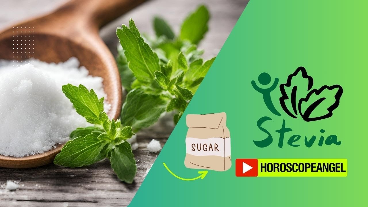 'Video thumbnail for Stevia Versus Sugar in Modern Diets: video blog'