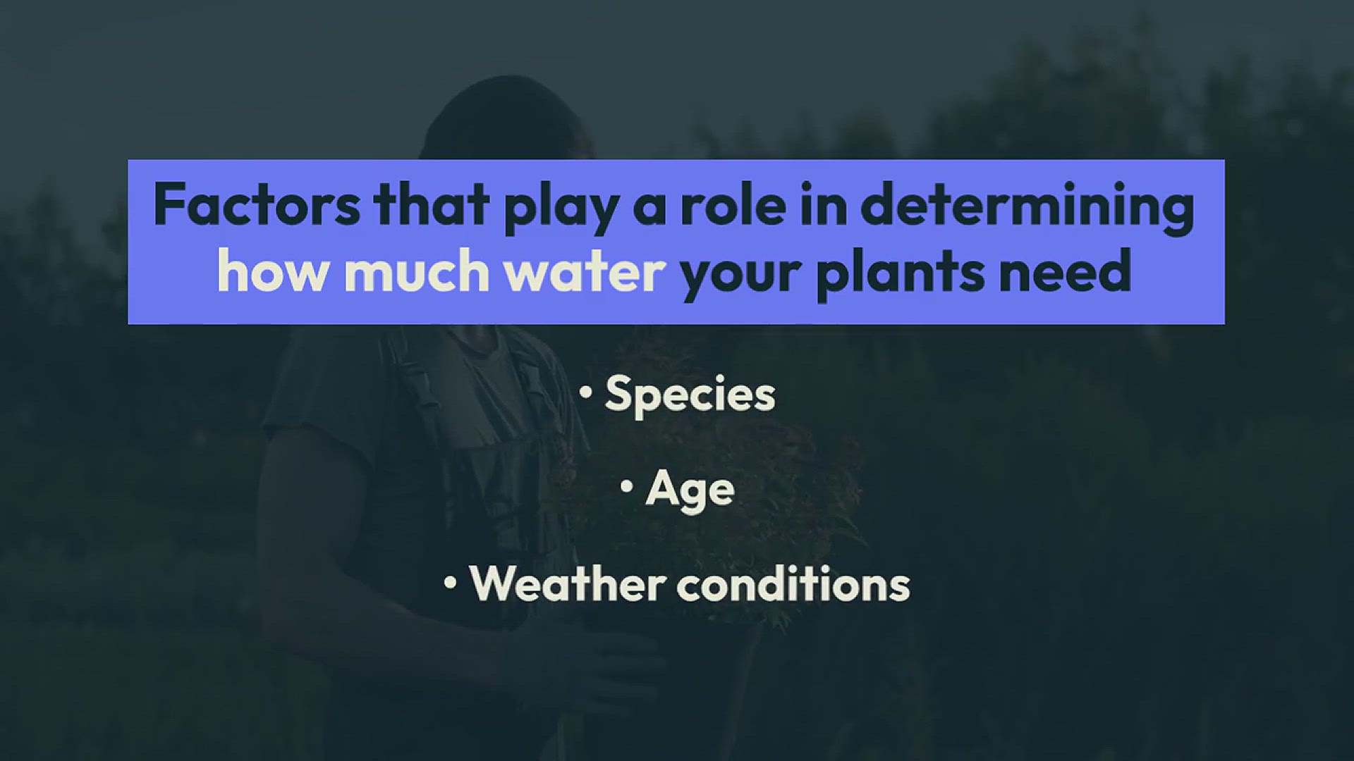 'Video thumbnail for How to Properly Water Your Garden'