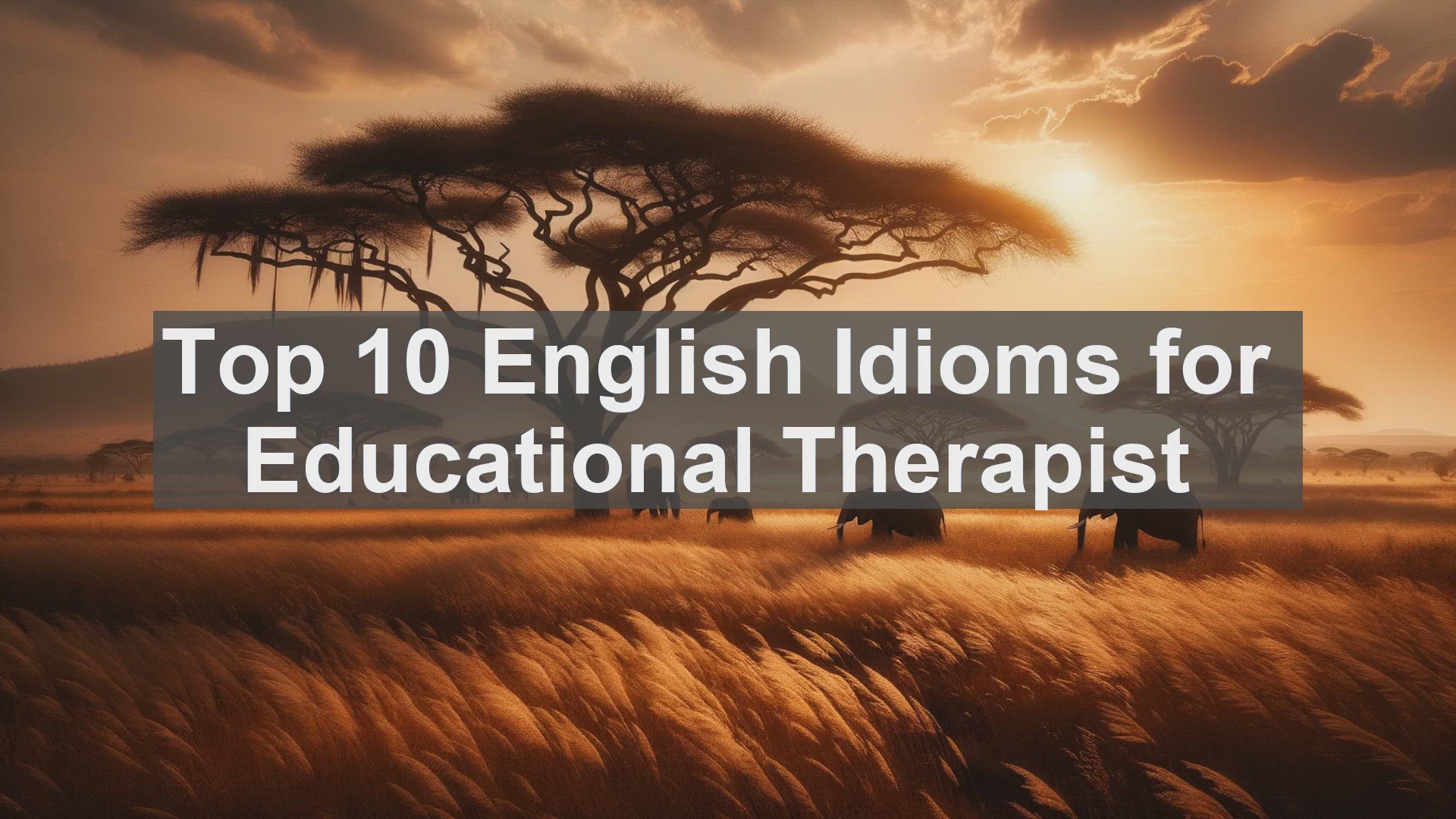 'Video thumbnail for Top 10 English Idioms for Educational Therapist'