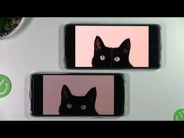 Video thumbnail for XIAOMI Poco X4 Pro VS XIAOMI Redmi Note 11s Display Comparison // Screen Review & Test