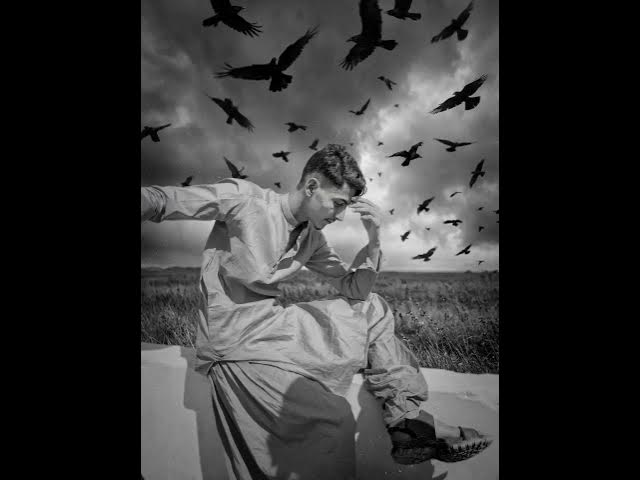 Video thumbnail for He waited beneath the dark sky, hoping the birds would bring his lost love back.