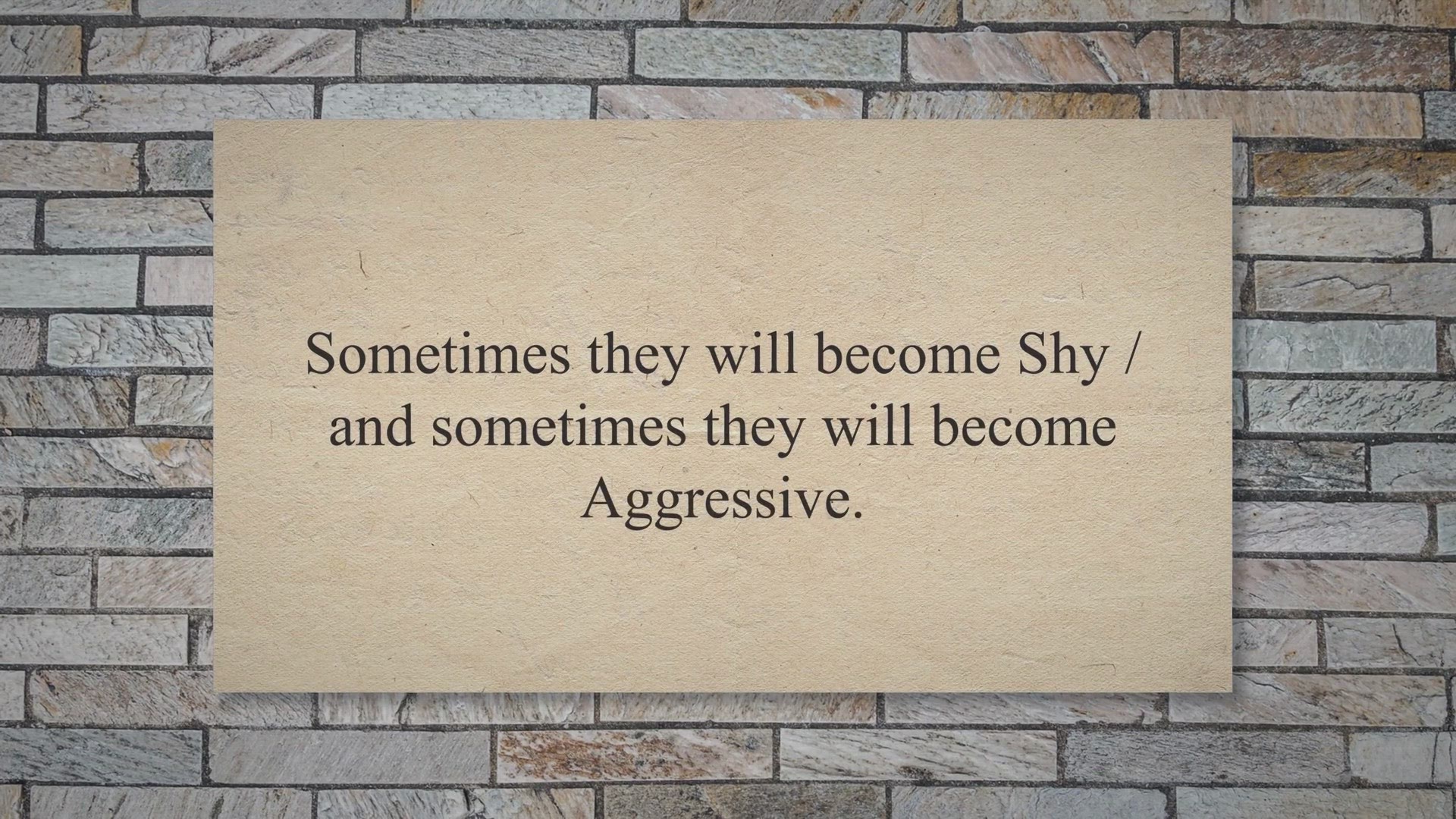 Video thumbnail for 11 Symptoms of a Pregnant Rabbit {VIDEO}