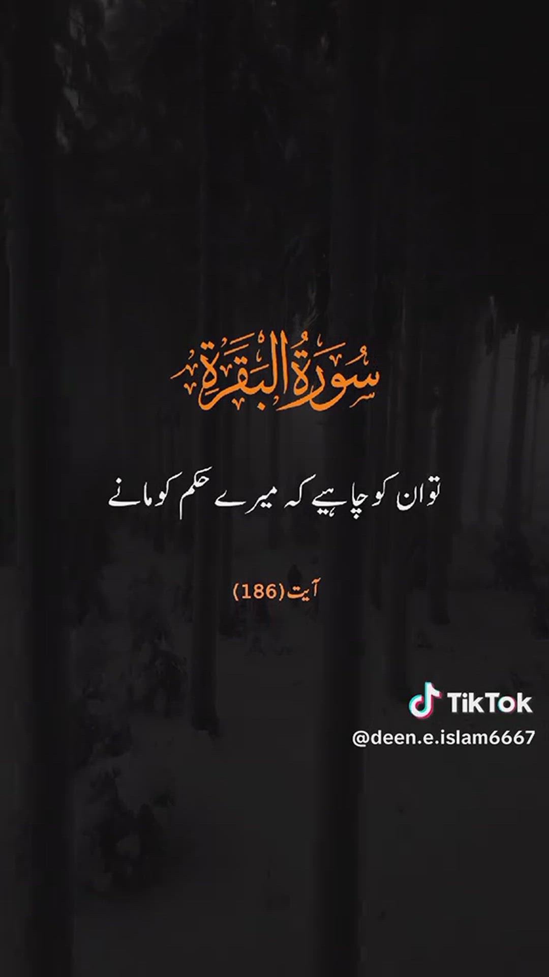 Video thumbnail for سورہ البقرة