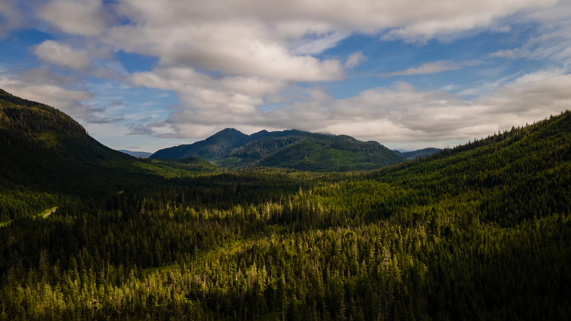 Video thumbnail for Trump moves to open 44 million forest acres to roads, logging, citing wildfire risk