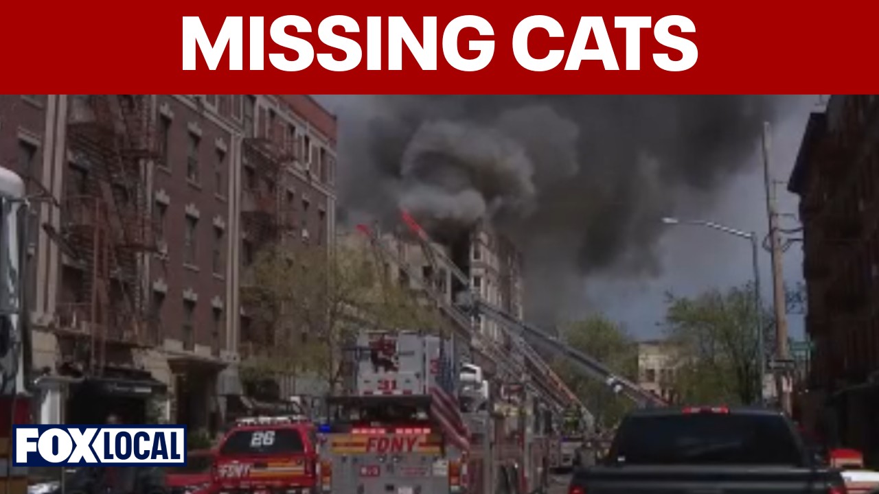 Video thumbnail for Bronx fire victims demand access to vacated building to rescue cats