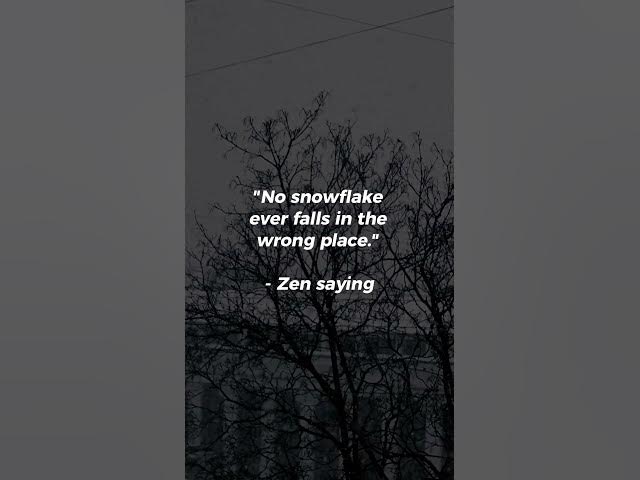 Video thumbnail for No snowflake ever falls in the wrong place...#zenquotes #shorts