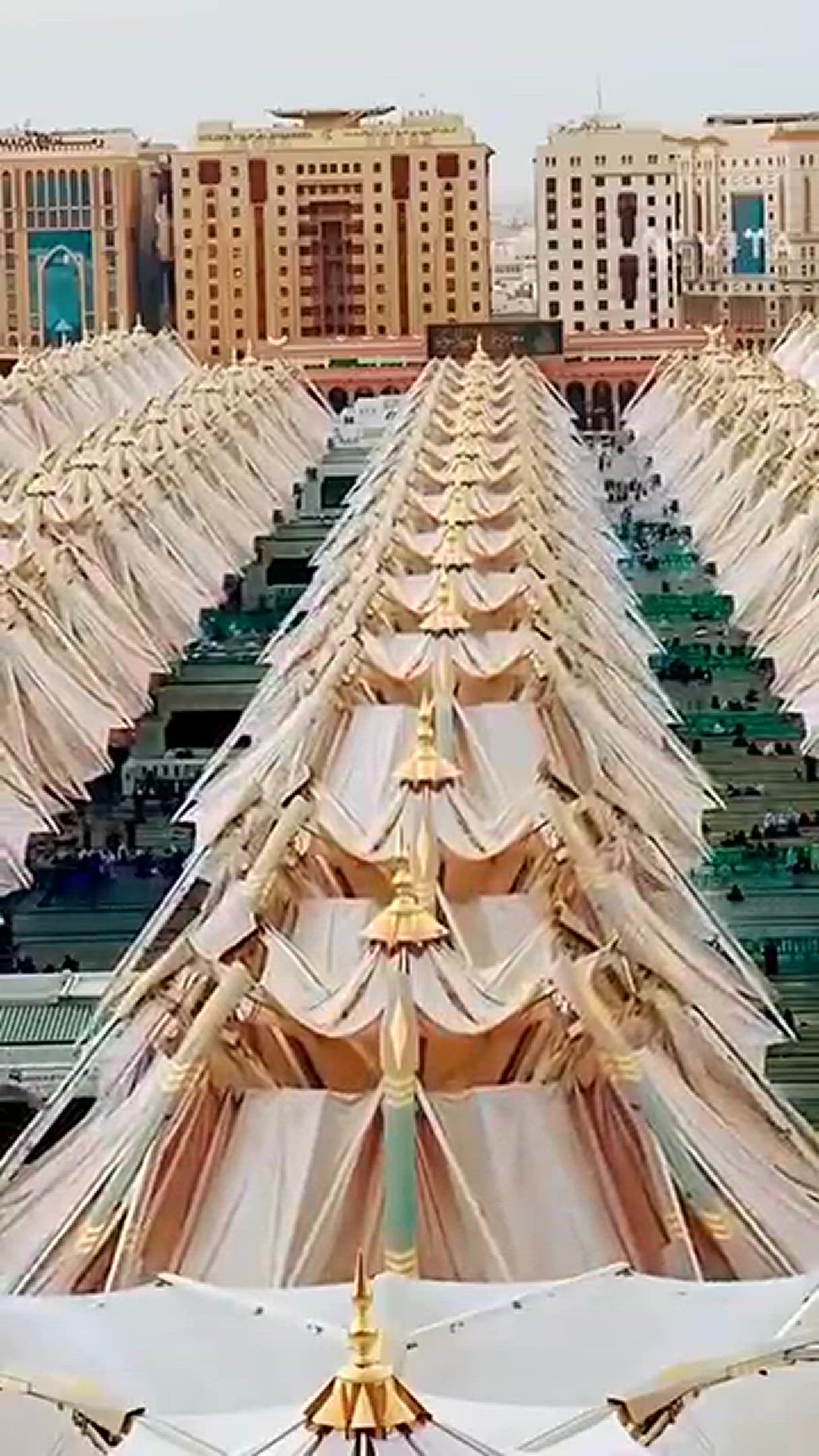 Video thumbnail for 8-January-2025_43