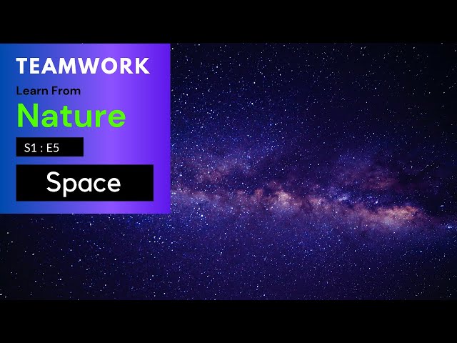 Video thumbnail for Teamwork | Learn from Nature | S1E5 | Space Element