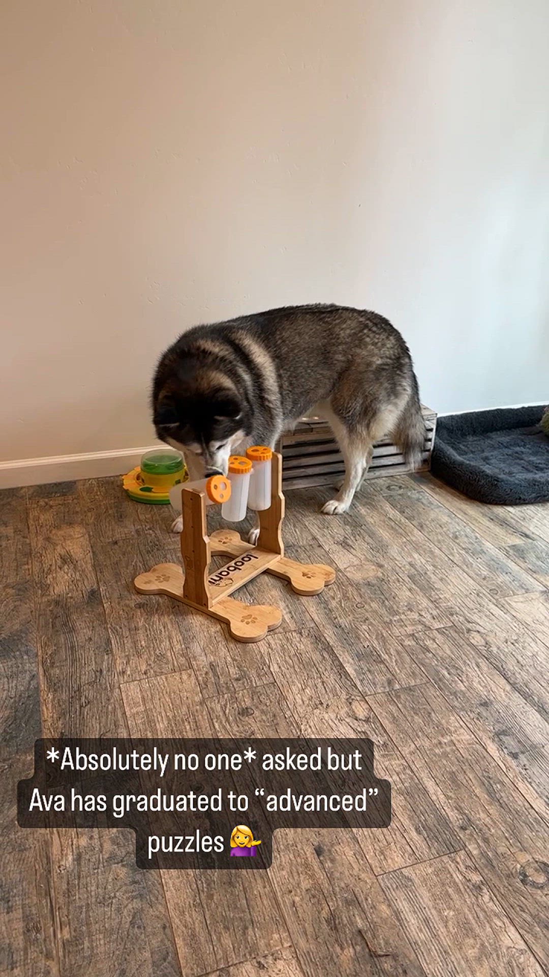 Video thumbnail for Ava puzzle