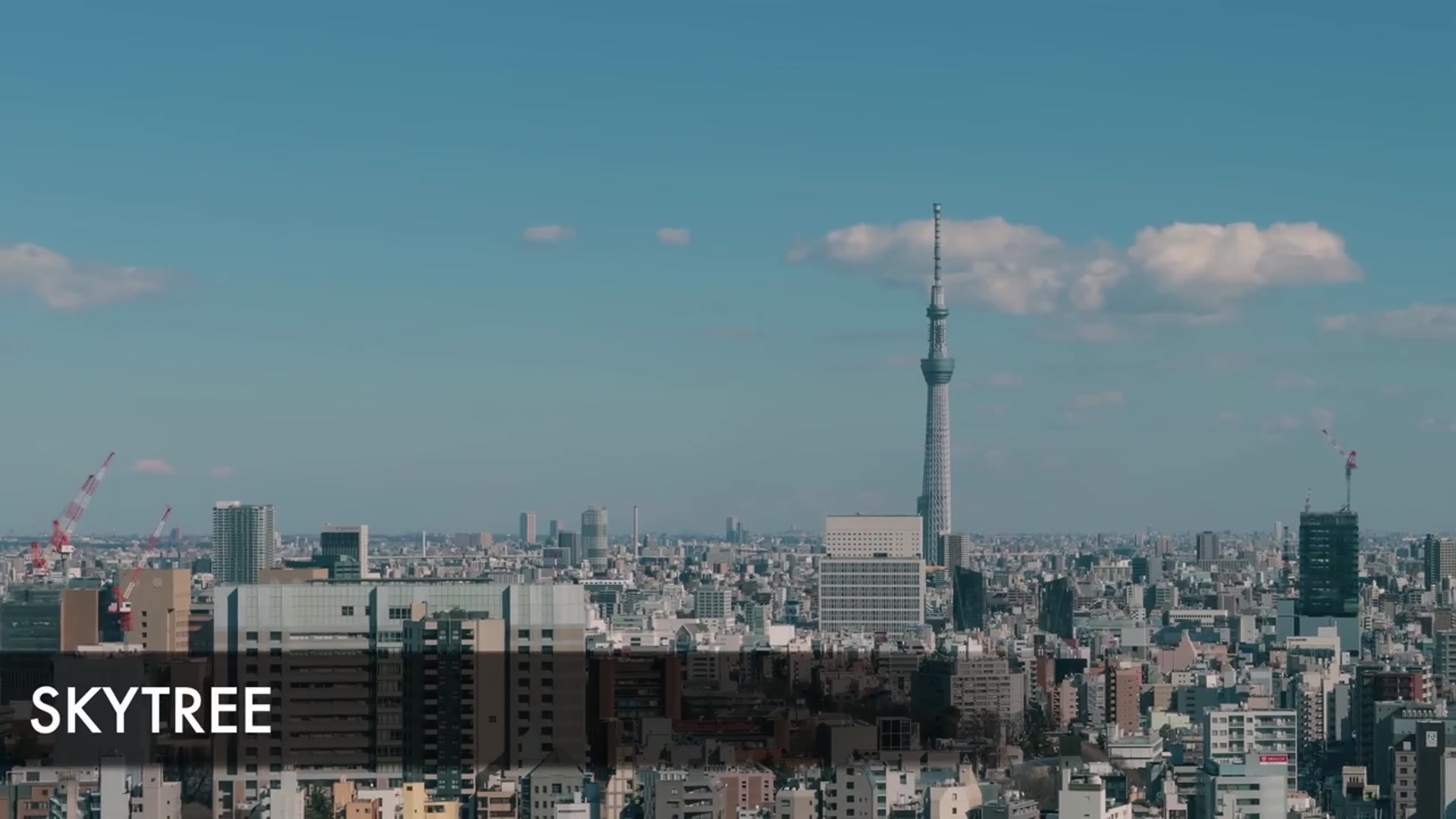 'Video thumbnail for Best Things To Do in Tokyo Japan 2025 4K'