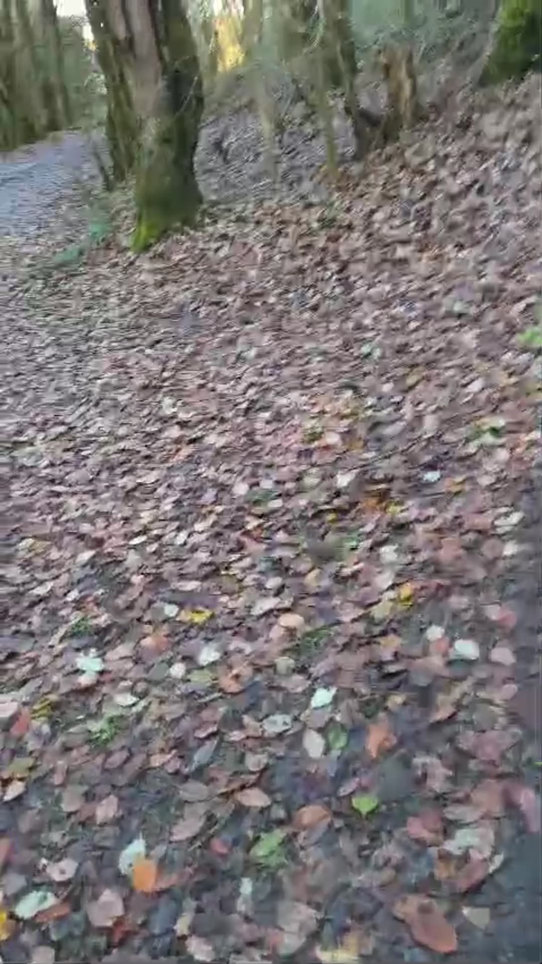 Video thumbnail for Behind the Scenes