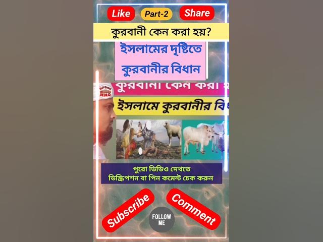 'Video thumbnail for কুরবানী কেন করা হয়? ইসলামের দৃষ্টিতে কুরবানীর বিধান। #qurbanistatus #কুরবানী #islamicquotes #shorts'