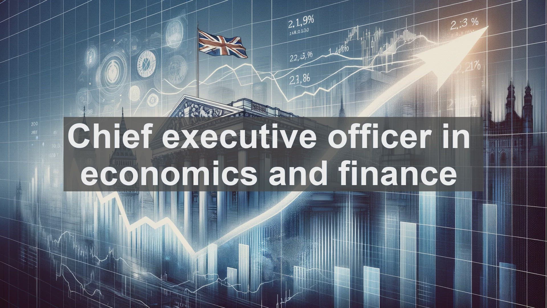 'Video thumbnail for Chief executive officer in economics and finance'