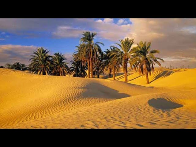 Video thumbnail for #favourite #bd #player #good #performance #sakib #masrafejunior #reels #videos #mychannel #facebook