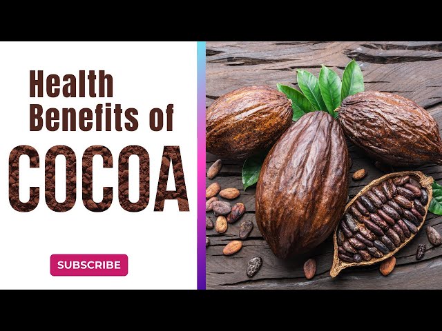 'Video thumbnail for Health Benefits of Cocoa and Why It Deserves a Place in Your Diet'