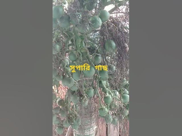 Video thumbnail for #video #reels #beautiful #viralvideo #happy #facebook #অনুপ্রেরণামূলক #bd #understanding #beautiful