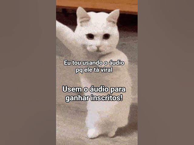 Video thumbnail for usem o áudio!