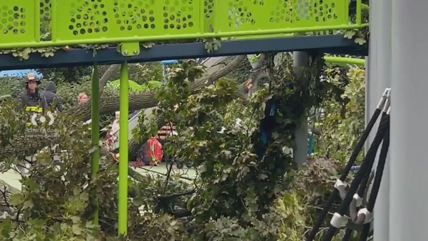 Video thumbnail for 4 hurt after tree collapses at Kelly Park Playground in Homecrest