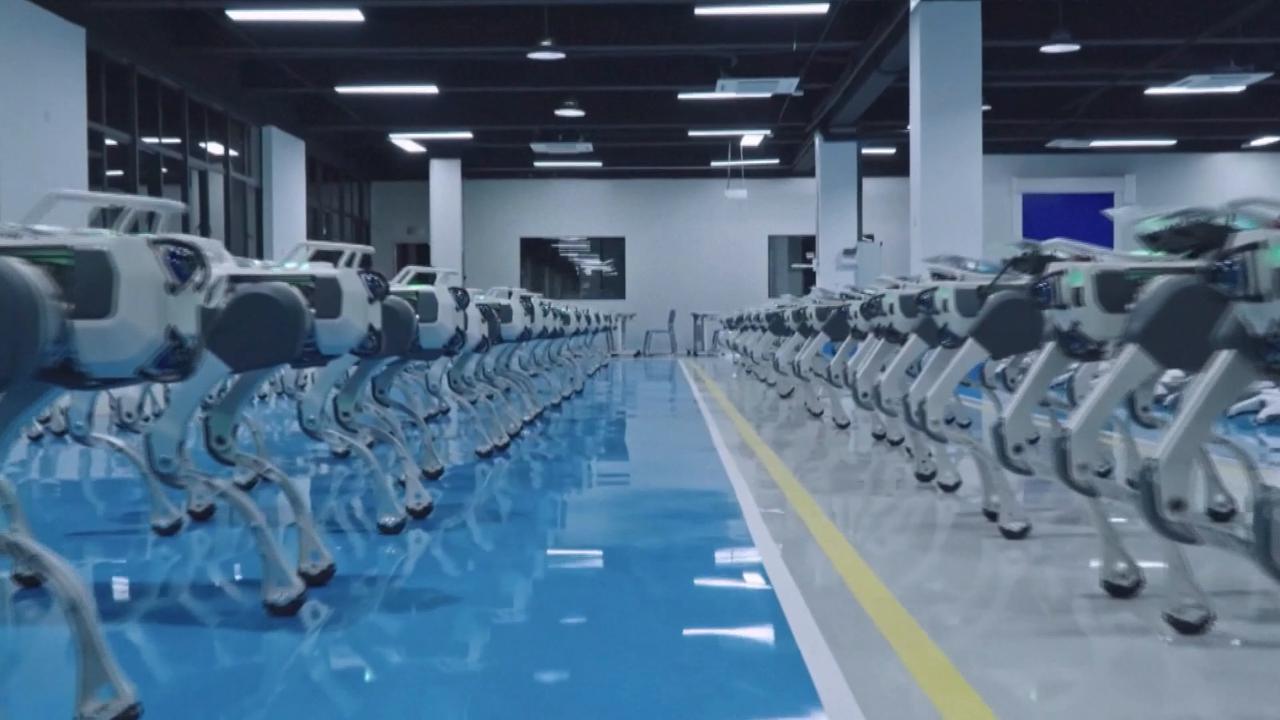Video thumbnail for China: China's robot industry surges as innovation accelerates.