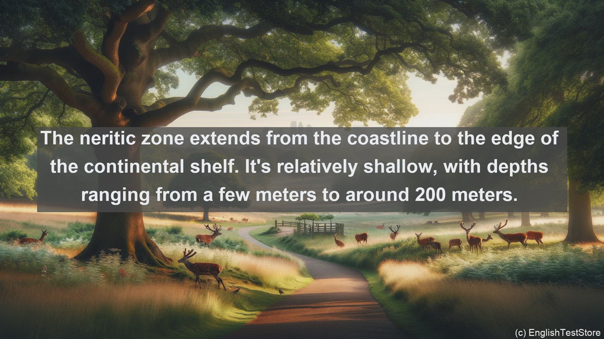 'Video thumbnail for Neritic zone in science  definition and examples'