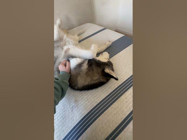 Video thumbnail for IMG 0372 1