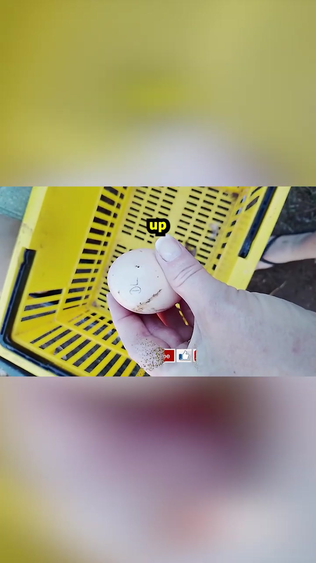 Video thumbnail for Why I Mark My Eggs Fertility Check #Shorts