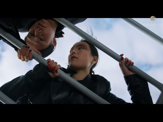 Video thumbnail for 10 mind blowing facts about Africa.