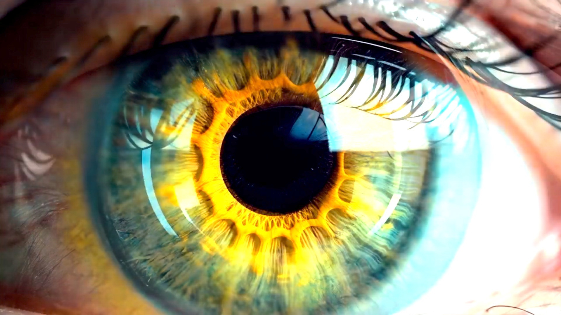 Video thumbnail for Lighter eye color may give an edge in certain tasks, anthropologists say