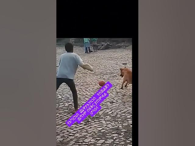 Video thumbnail for February 3, 2026