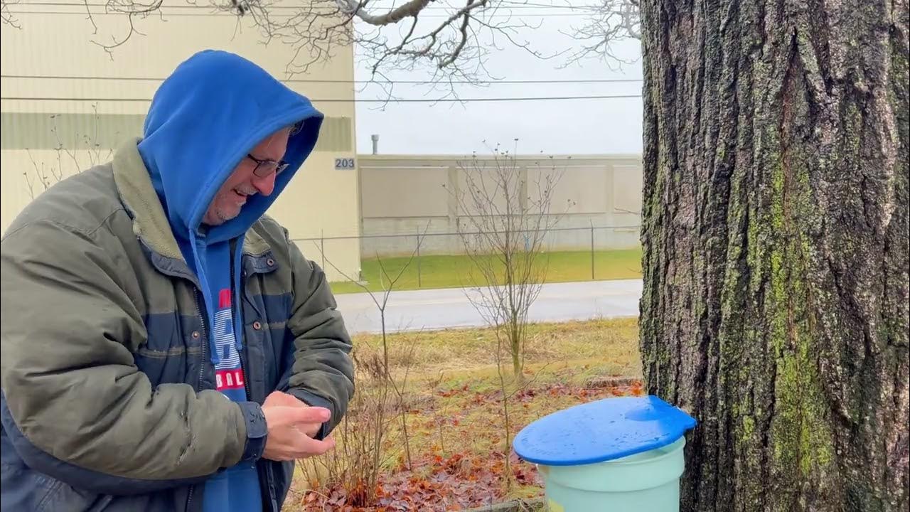 'Video thumbnail for Maple Tree Tapping Tips with Jeffrey Rhoades on Our Homestead'