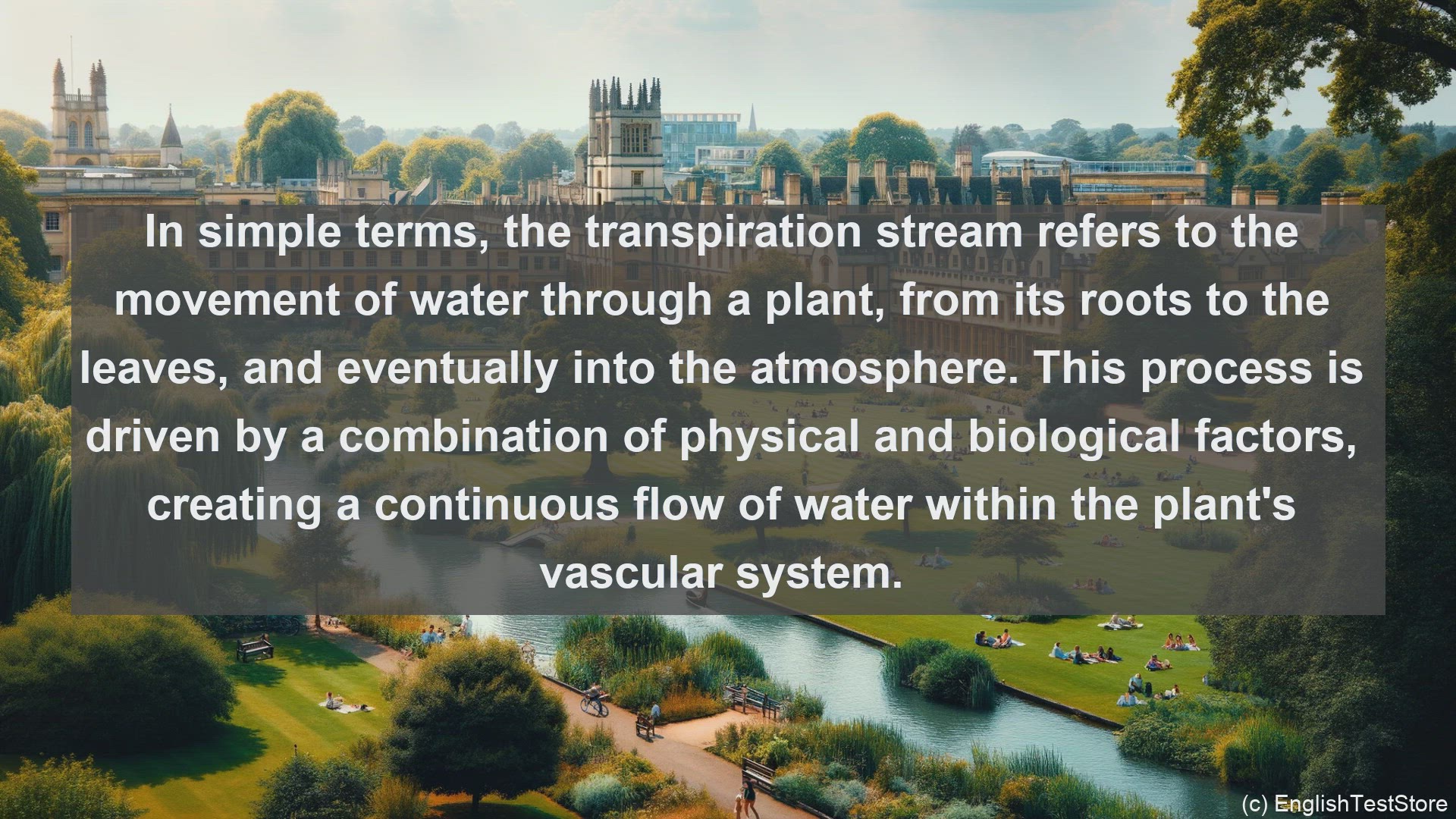 'Video thumbnail for Transpiration stream in science  definition and examples'
