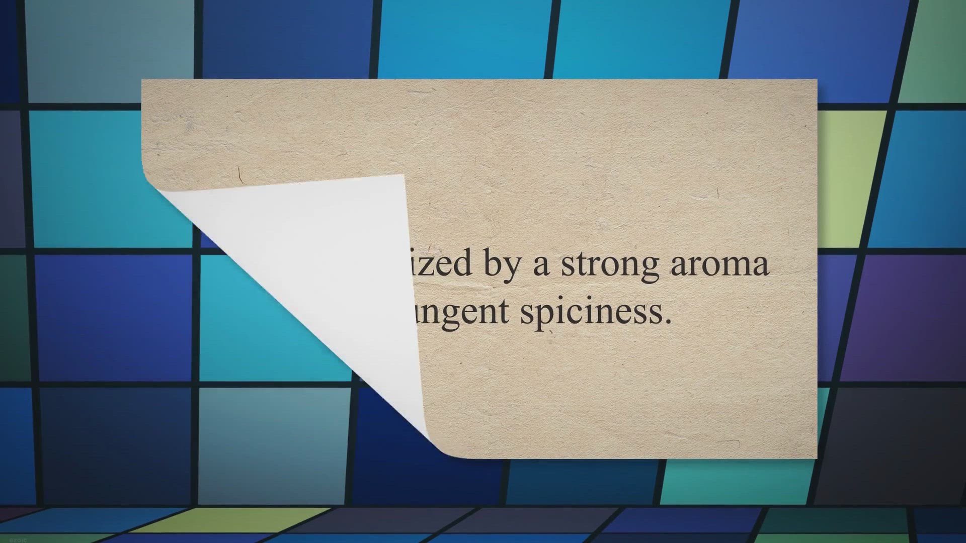 Video thumbnail for 30 Incredible Facts About Onions