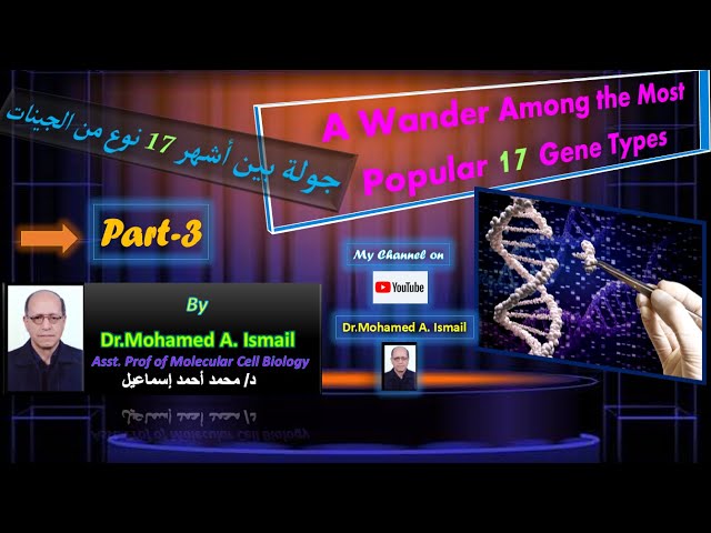 Video thumbnail for Encyclopedia of Gene Types (Part-3) موسوعة أنواع الچينات (الحلقة الثالثة)
