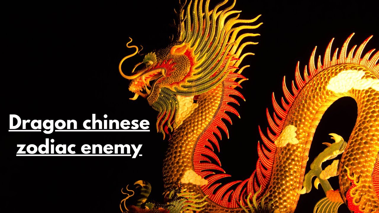 'Video thumbnail for Dragon Chinese zodiac enemy: video blog'
